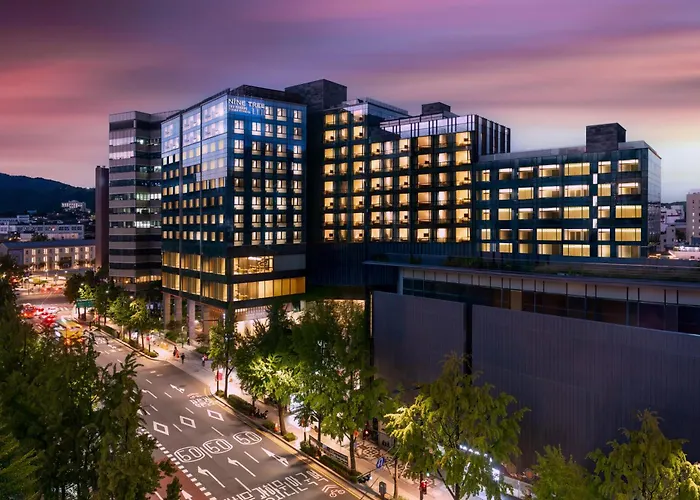 Nine Tree By Parnas Seoul Insadong